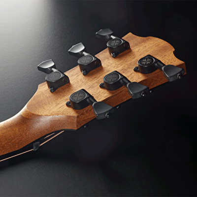 LAG GLA SAUVAGE-D Dreadnought Akustik Gitar